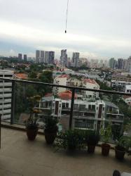 Residences @ Evelyn (D11), Condominium #25049032